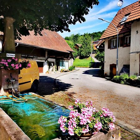 Alpenpanorama Haegelberg Steinen (Lorrach) Exterior foto