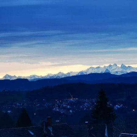 Alpenpanorama Haegelberg Steinen (Lorrach) Exterior foto