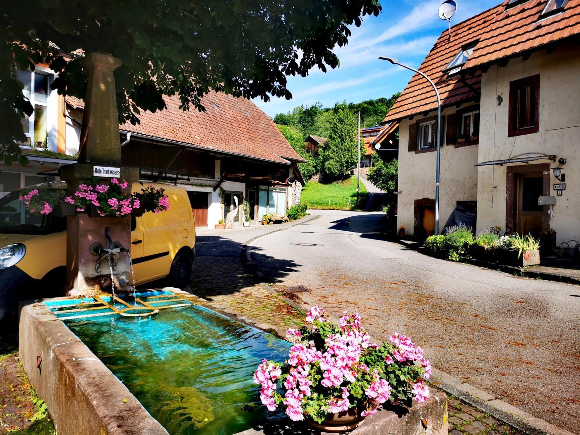 Alpenpanorama Haegelberg Steinen (Lorrach) Exterior foto