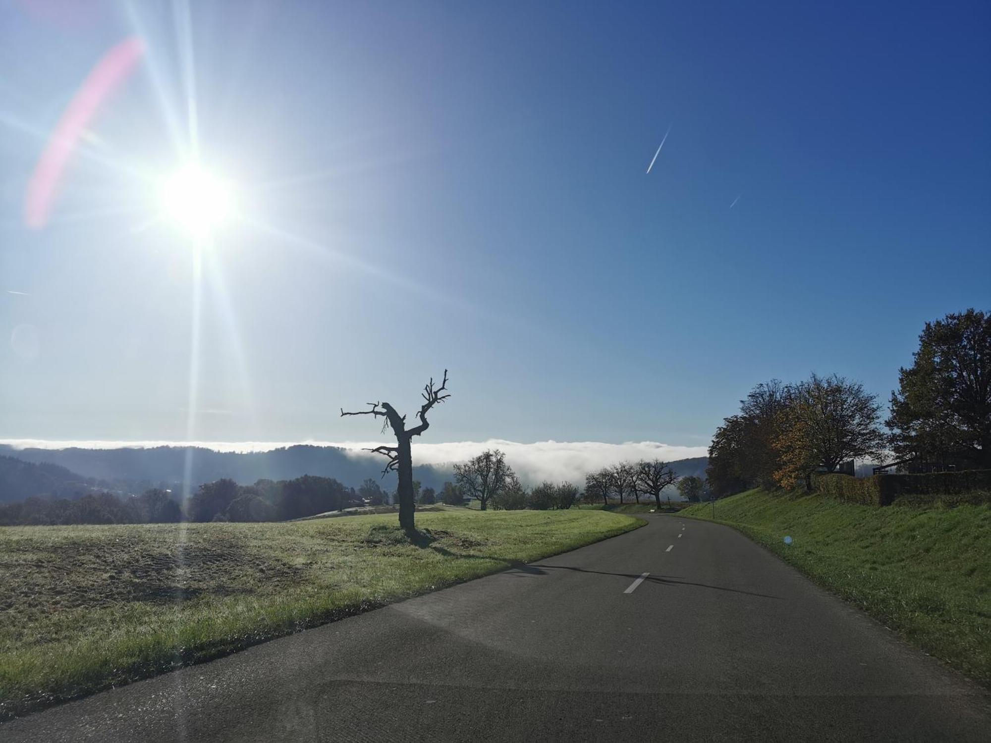 Alpenpanorama Haegelberg Steinen (Lorrach) Exterior foto